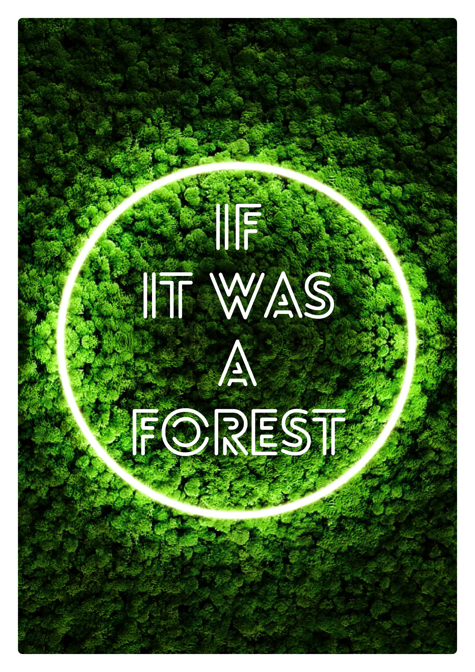 If it was a forest